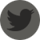 Twitter Icon