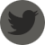 Twitter Icon