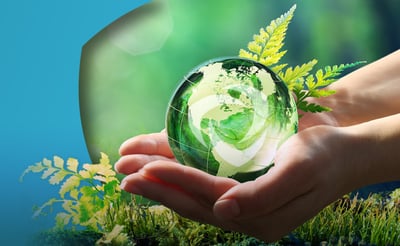 Corporate Responsibility Thumbnail