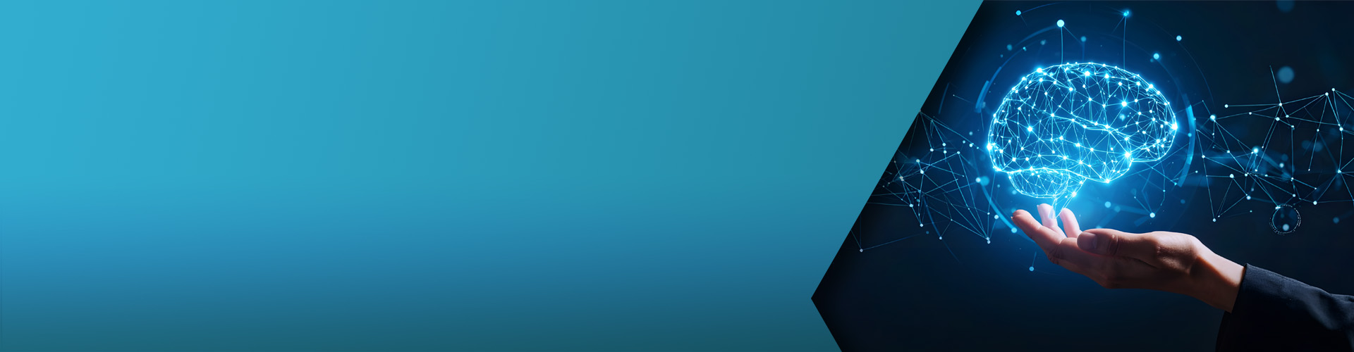 EMA Whitepaper Banner