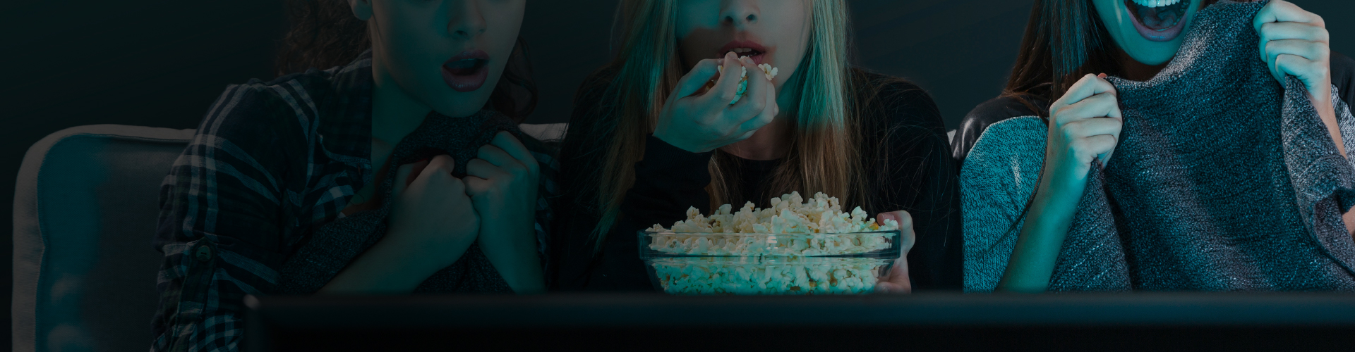 Video and Television Fraud Management Banner