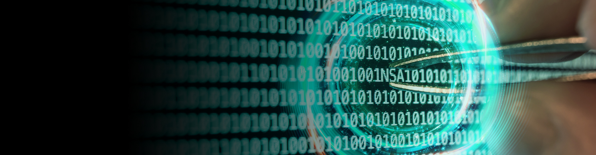 Application and Network Intelligence Banner
