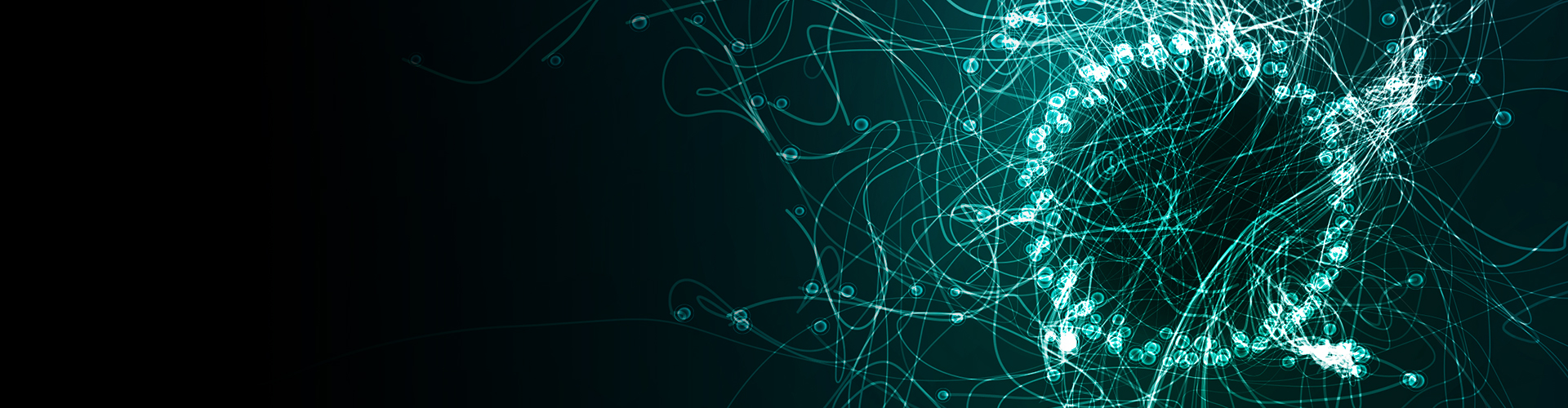 View Active Network Intelligence Webinar