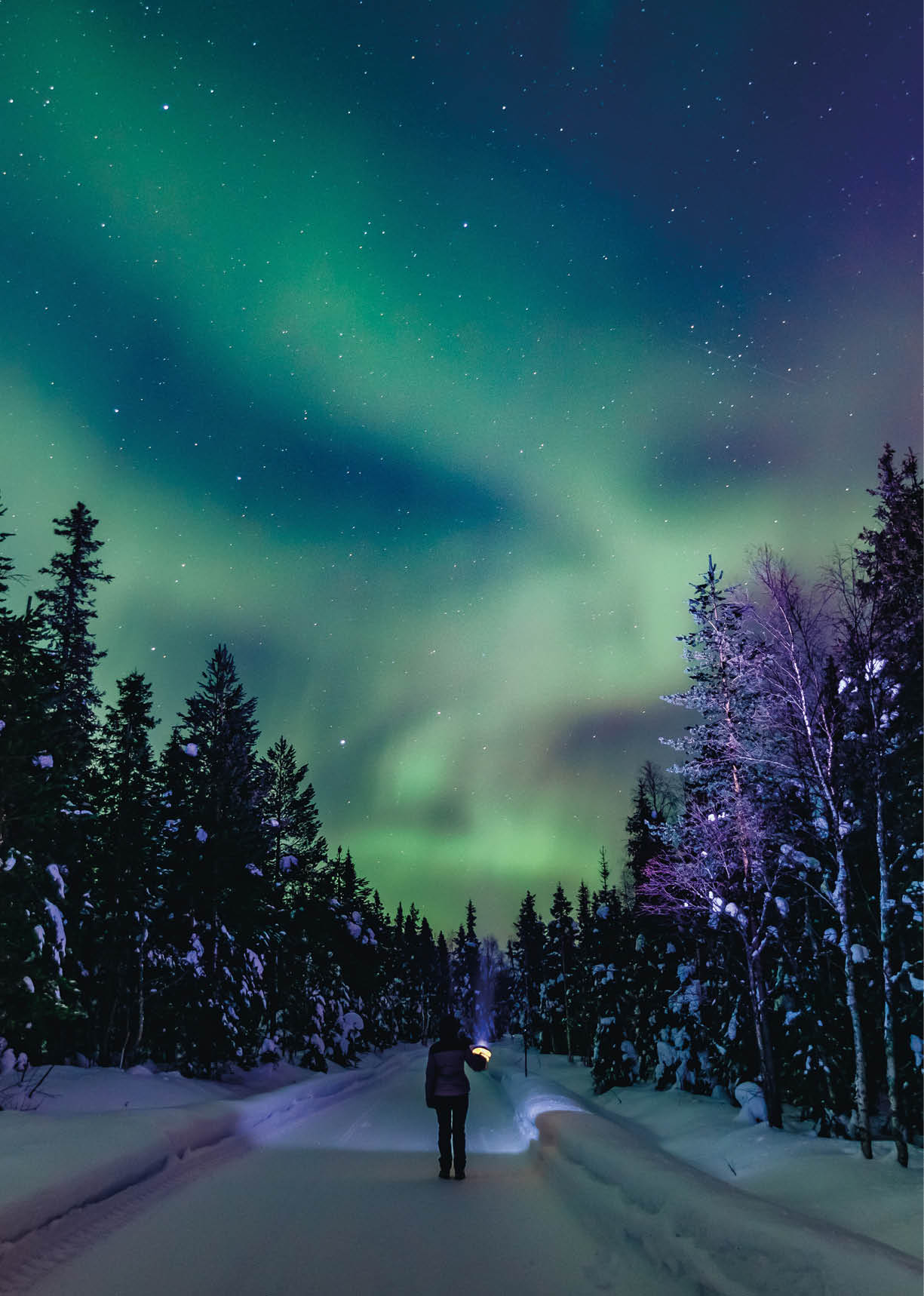 Colorful polar arctic Northern lights Aurora Borealis activity with one person in snow winter forest in Finland, Lapland