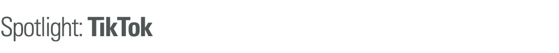 Spotlight: TikTok