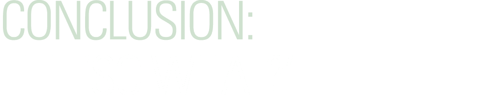 CONCLUSION: THE  SO WHAT  