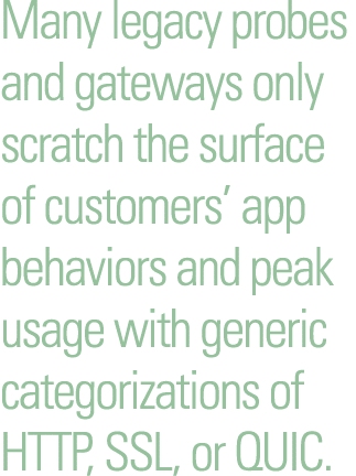 Many legacy probes and gateways only scratch the surface of customers  app behaviors and peak usage with generic cate   