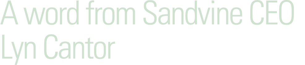 A word from Sandvine CEO Lyn Cantor 